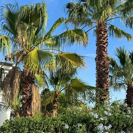 Casa Del Vega Villa Turís